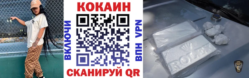 Cocaine FishScale  магазин  наркотиков  Новодвинск 