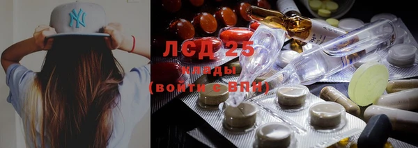 шишки Михайловск