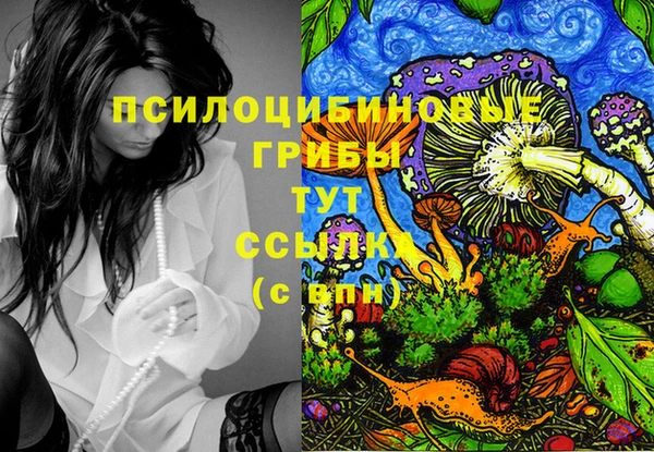 гидра Михайловка