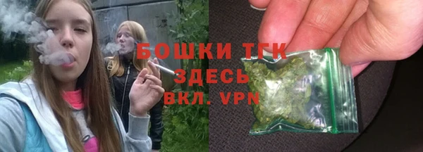 шишки Михайловск
