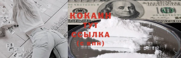 шишки Михайловск