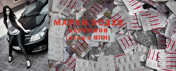 шишки Михайловск
