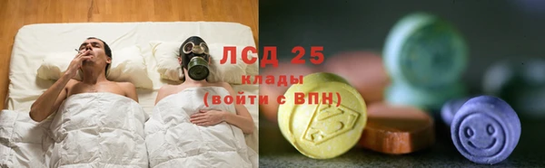 spice Михайлов