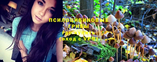 spice Михайлов