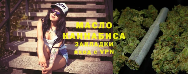 гидра Михайловка