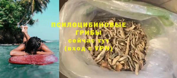 гидра Михайловка