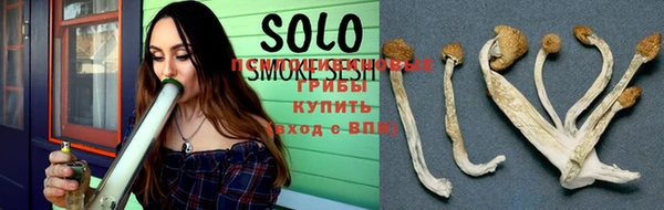 spice Михайлов