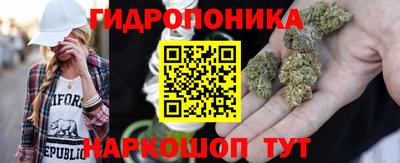 твердый Будённовск