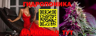 твердый Будённовск