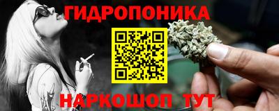 шишки Коммунар