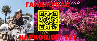шишки Коммунар