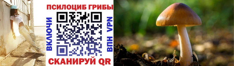 Галлюциногенные грибы мицелий  Новодвинск 