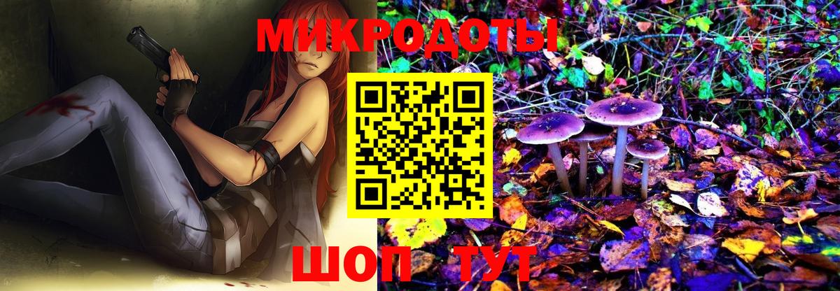 Псилоцибиновые грибы прущие грибы Новодвинск