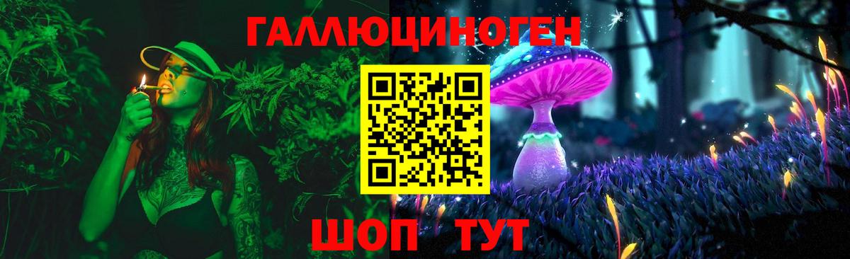 Галлюциногенные грибы Cubensis Новодвинск