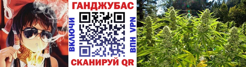 Бошки Шишки Amnesia где найти Новодвинск