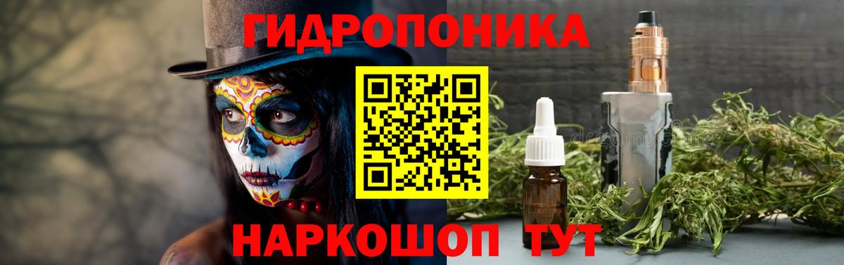 Канабис сатива Новодвинск